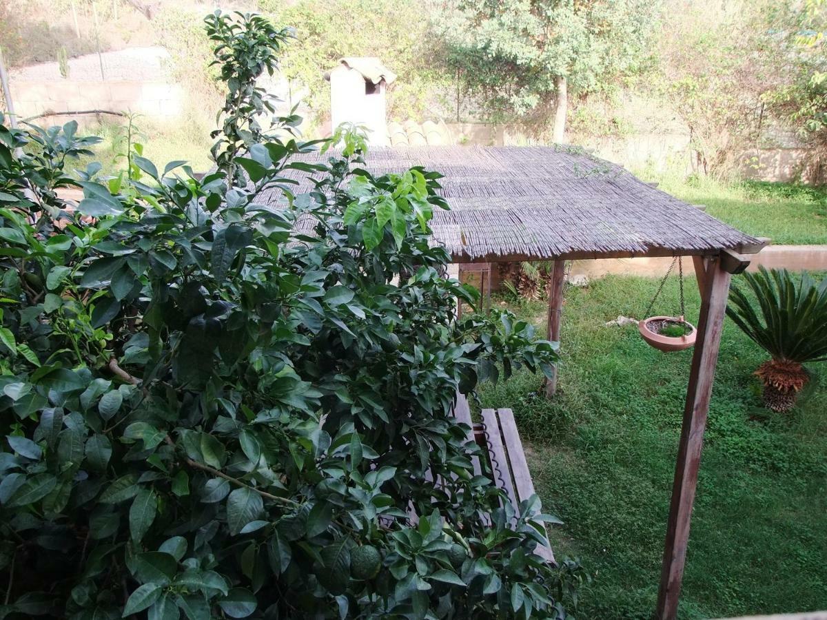 Bed and Breakfast Il Filo Di Paglia Комизо Экстерьер фото